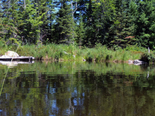 Картинка природа реки озера деревья река