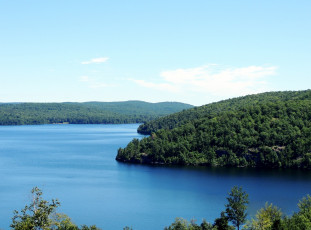 Картинка природа реки озера лес вода река