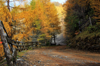 Картинка природа дороги тракт