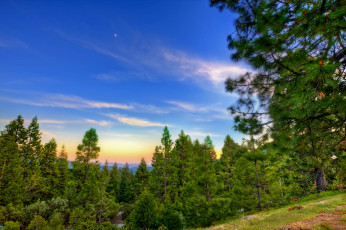 Картинка природа пейзажи простор