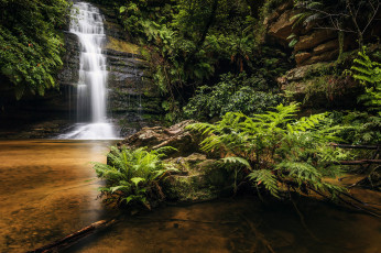 Картинка природа водопады водопад река лес