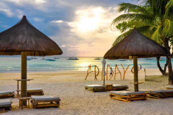 Картинка природа тропики курорт