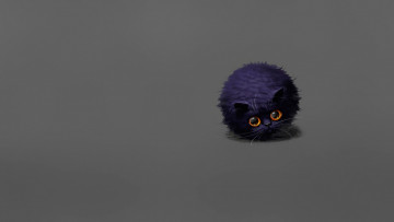 Картинка рисованное минимализм арт малыш котёнок