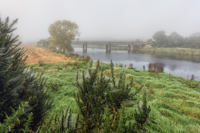 Обои картинки фото природа, реки, озера, река, лес