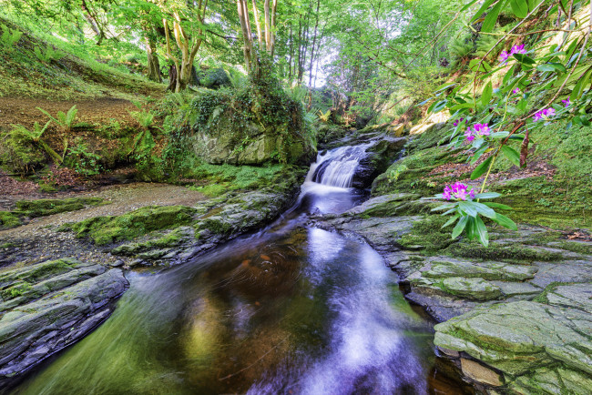 Обои картинки фото природа, водопады, водопад, река, лес