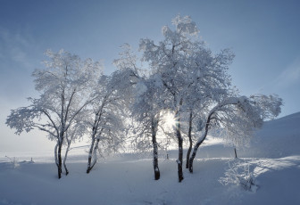 Картинка природа зима простор