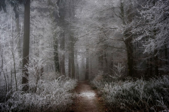 Картинка природа дороги простор