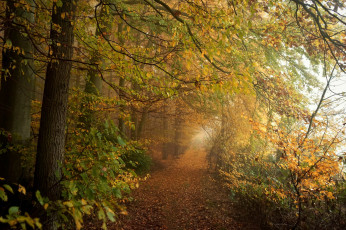 Картинка природа дороги простор