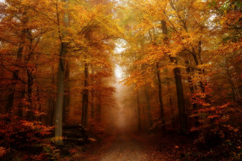 Картинка природа дороги простор