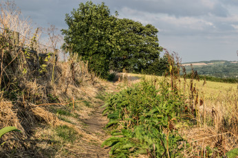 Картинка природа дороги простор