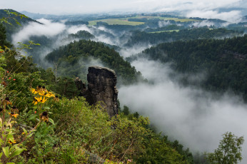 Картинка природа пейзажи простор