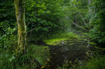 Картинка природа реки озера простор