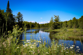 Картинка природа реки озера простор