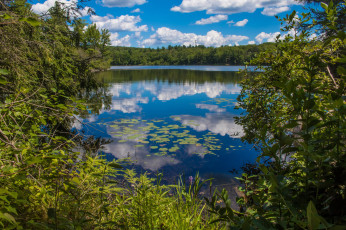 Картинка природа реки озера простор