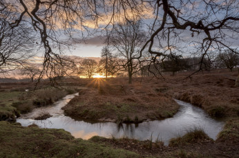 Картинка природа реки озера простор