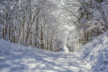 Картинка природа зима простор