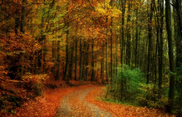 Картинка природа дороги простор