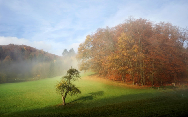 Обои картинки фото природа, пейзажи, простор