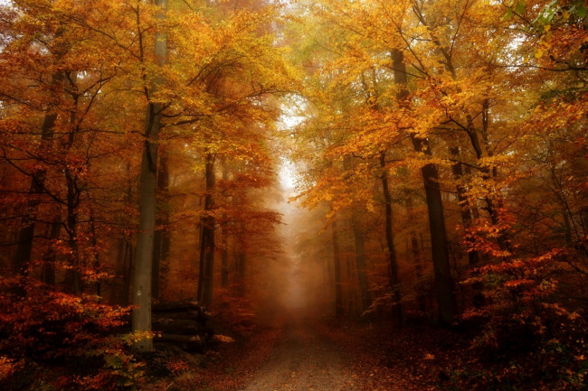 Обои картинки фото природа, дороги, простор