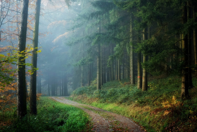 Обои картинки фото природа, дороги, простор