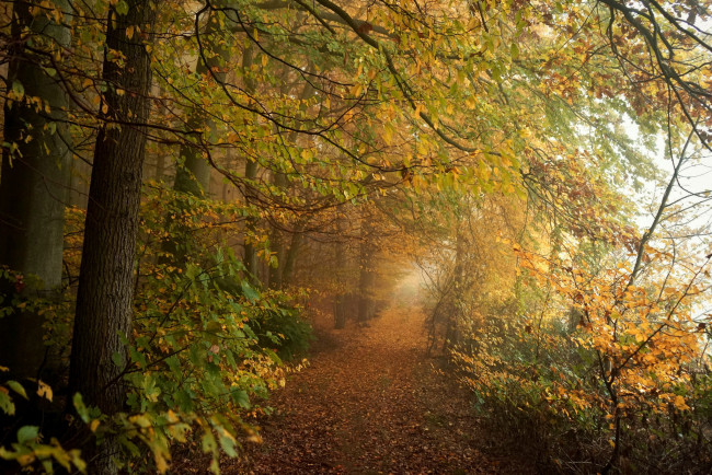 Обои картинки фото природа, дороги, простор