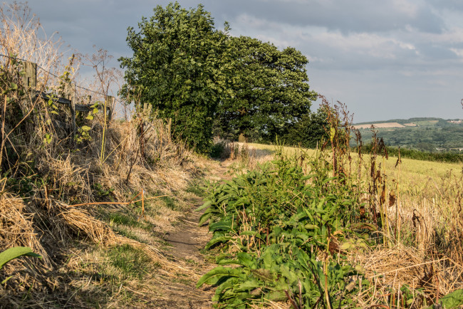 Обои картинки фото природа, дороги, простор