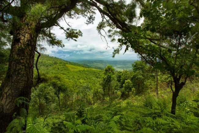 Обои картинки фото природа, пейзажи, простор