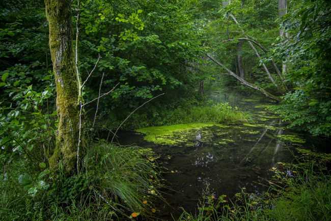 Обои картинки фото природа, реки, озера, простор