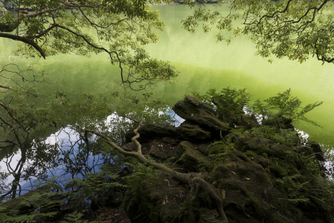 Обои картинки фото природа, реки, озера, простор