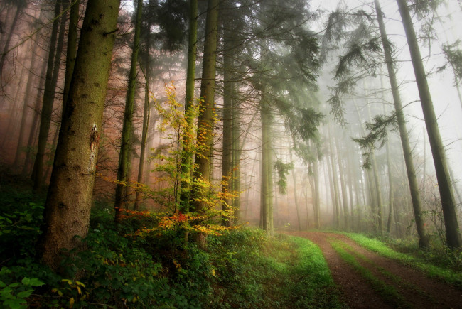 Обои картинки фото природа, дороги, простор