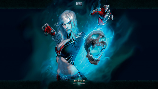 Обои картинки фото видео игры, diablo iii, череп, взгляд, фон, девушка