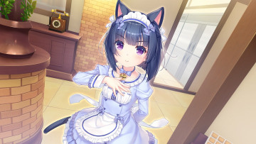 Картинка аниме nekopara minazuki shigure ушки униформа телефон