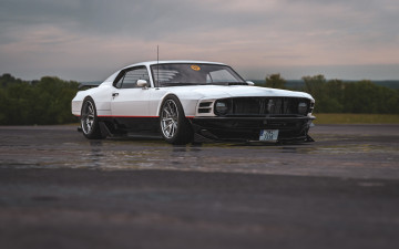 обоя ford mustang boss 302 talisman, автомобили, ford, mustang, boss, 302, talisman