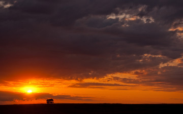 Картинка природа восходы закаты небо тучи закат дерево
