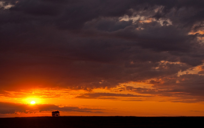 Обои картинки фото природа, восходы, закаты, небо, тучи, закат, дерево