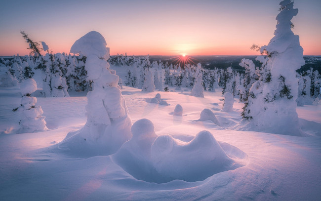 Обои картинки фото природа, зима, лес, елки, сугробы, снег, закат