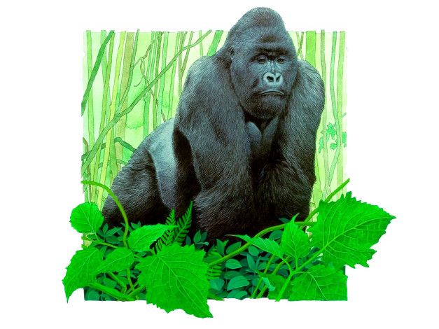 Обои картинки фото рисованное, животные,  обезьяны, обезьяна, горилла, листья, лес