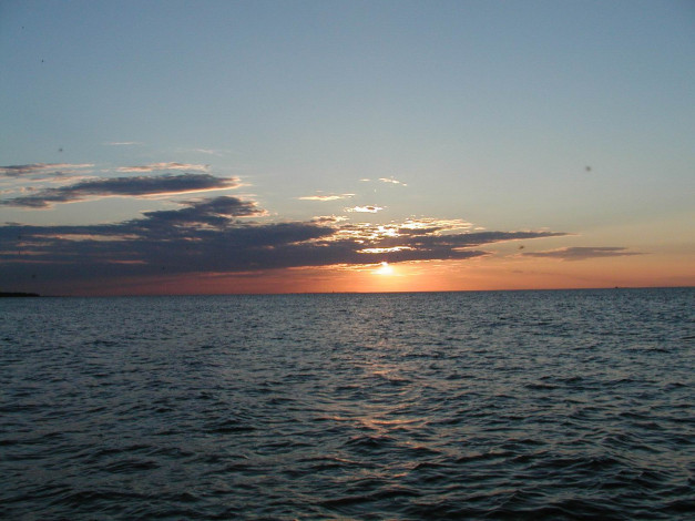 Обои картинки фото 