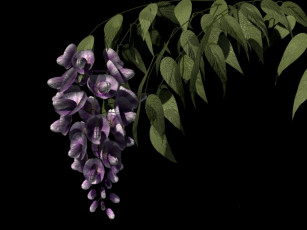 Картинка рисованные цветы