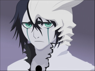 Картинка аниме bleach