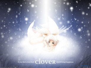 Картинка аниме clover