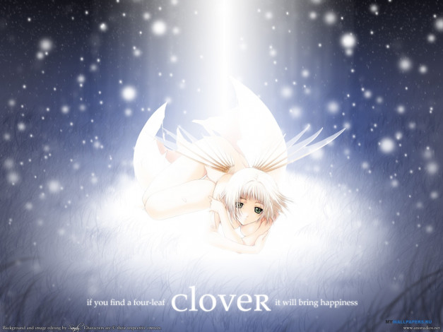 Обои картинки фото аниме, clover