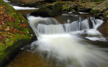 Картинка природа реки озера