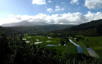 Картинка природа пейзажи