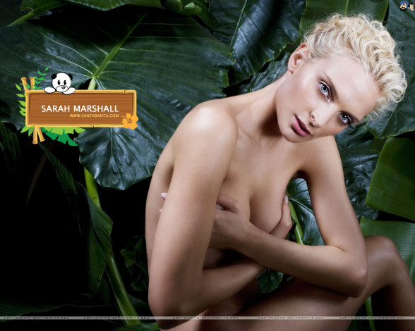 Обои картинки фото Sarah Marshall, девушки