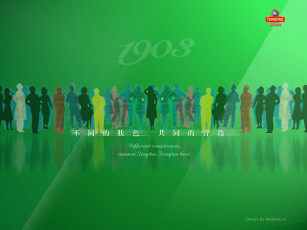 обоя бренды, tsingtao