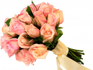 Картинка цветы розы