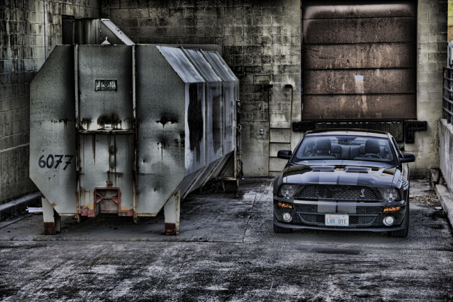 Обои картинки фото автомобили, mustang, контейнер