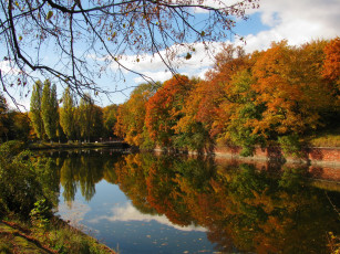 Картинка природа парк осень