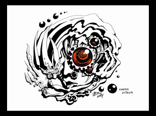 Картинка аниме gray man allen walker